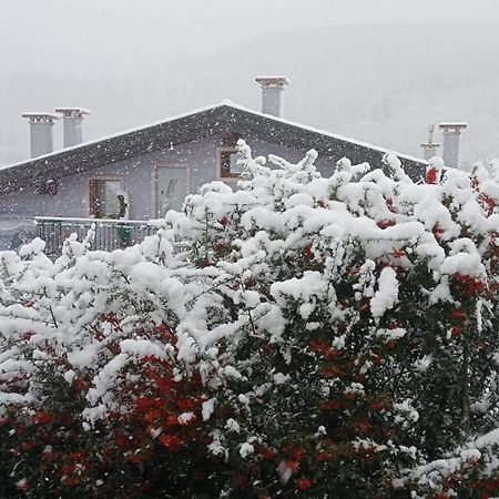 B&B Stella Alpina Fontanelle  Dış mekan fotoğraf