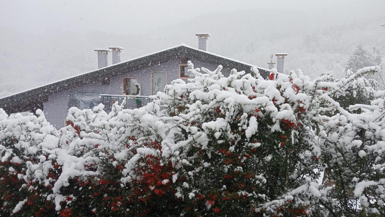 B&B Stella Alpina Fontanelle  Dış mekan fotoğraf